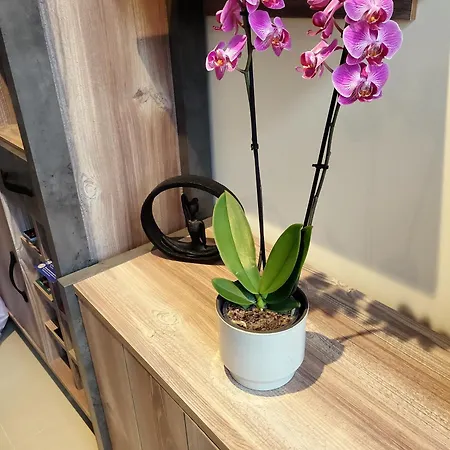 Atico El Cueton * ארנאס דה קבראלס